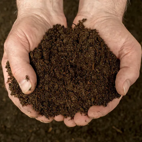 Compost