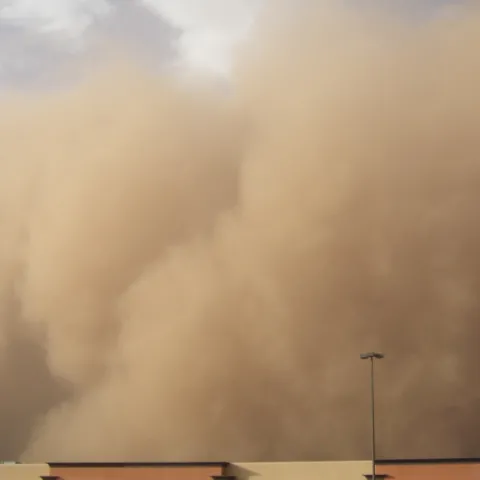 Dust Storm Spreading Valley Fever Spores