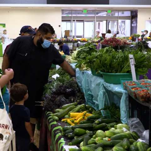 Familias comprando productos frescos en un mercado de granjeros