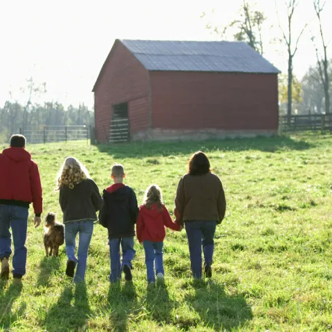 people walking on a farm