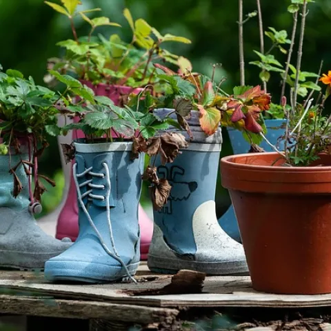 boots with plants/pixabay