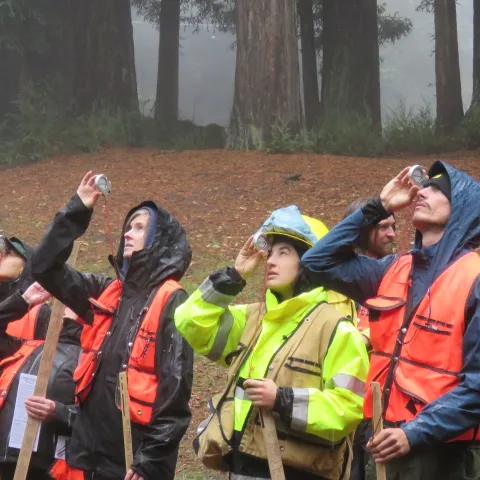 A group of people stand in a forest and practice measuring trees.