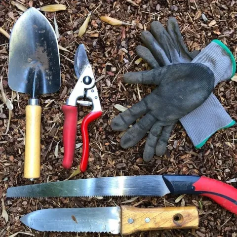 Fall is the perfect time to get your garden ready for its brief winter rest.