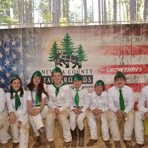 Nevada County 4-H Youth at the Fair