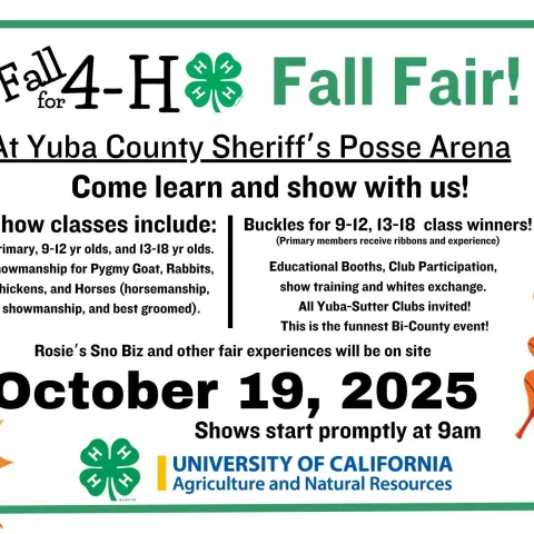 4-H Fall Fair 2025