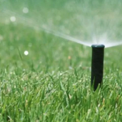 Sprinkler sprays lawn