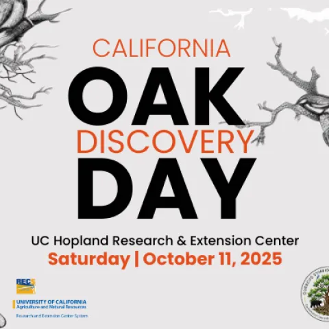 California Oak Discovery Day, October 11, UC Hopland Research and Extension Center. An image of a valley oak acorn, logos for the UC Hopland Research and Extension Center and the Quercus Symbiosis Foundation.
