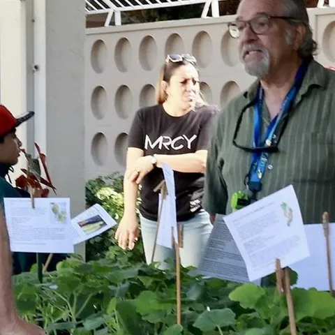 Pop-up Plant Giveaway - Fullerton