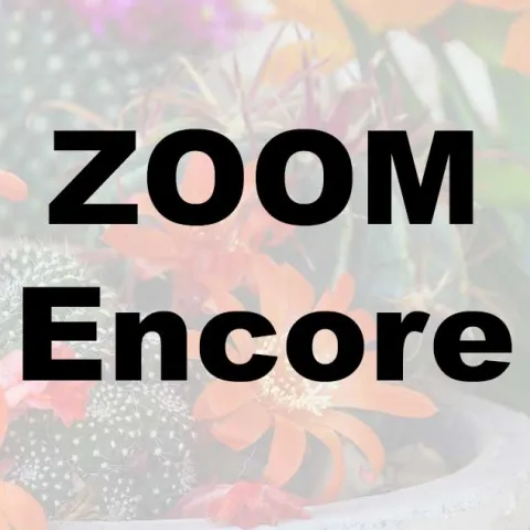 Simply Succulents - Zoom Encore