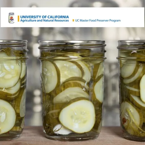 Three jars of pickles 