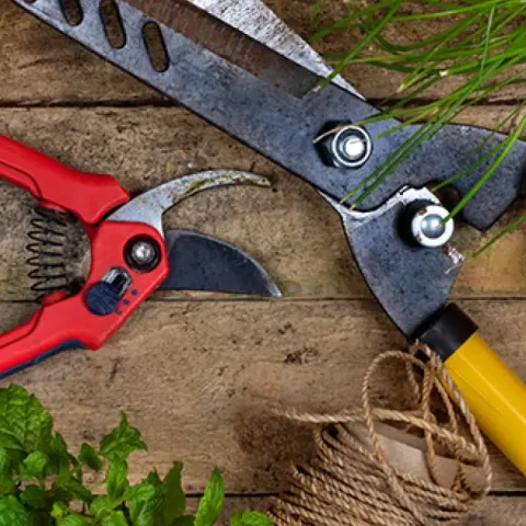 Picture of Garden Tools
