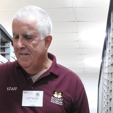 Jeff Smith, curator of the Lepidoptera collection at the Bohart Museum of Entomology. (Photo by Kathy Keatley Garvey)