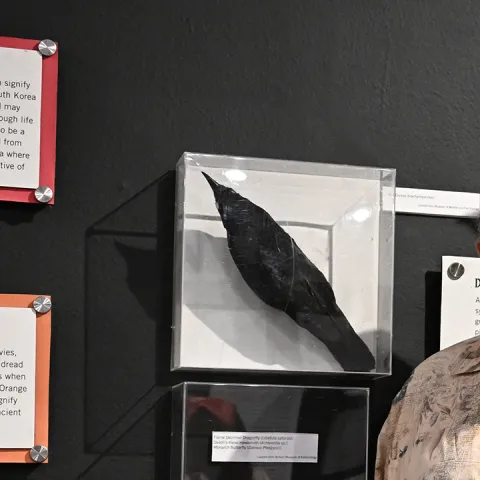 UC Davis forensic entomologist Robert Kimsey at the Vacaville Museum's "Art of Death" gallery exhibit. (Photo by Kathy Keatley Garvey)