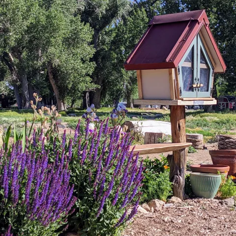 a little library box in a garden