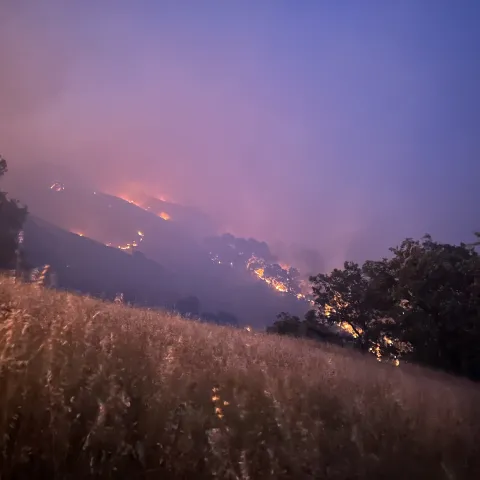 oak woodland fire