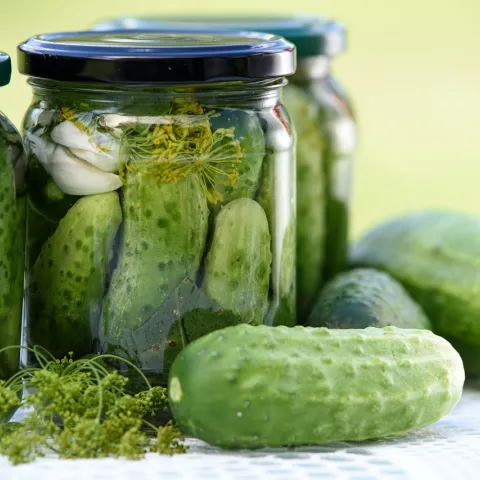 pickled cucumbers