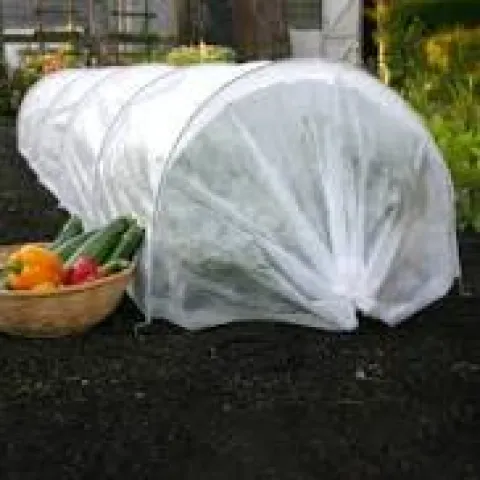 Crop tunnel with bowl of vegetables