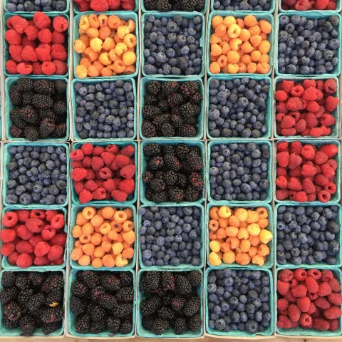 Baskets of berries