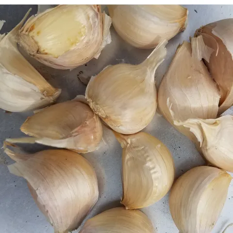 Select the largest garlic cloves to plant. J. Alosi