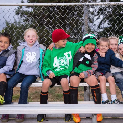 7 young youth sitting together on a bench