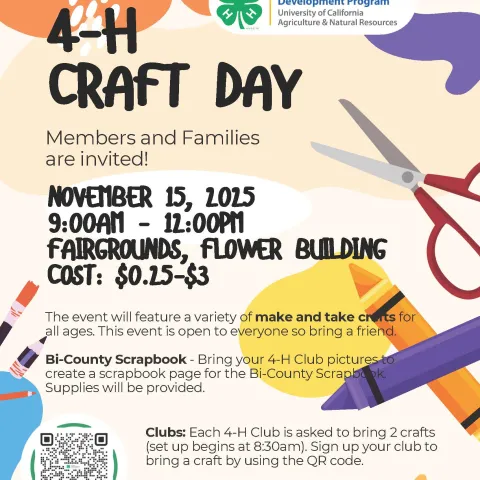 4-H Craft Day