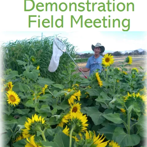 Climate-Smart Farming Image