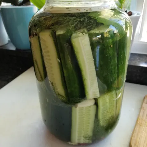Cucumber pickles - Henry Shaw(1).jpg