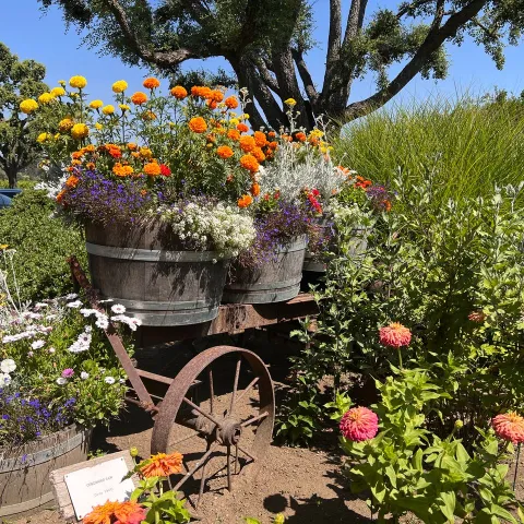 Entrance to the winery