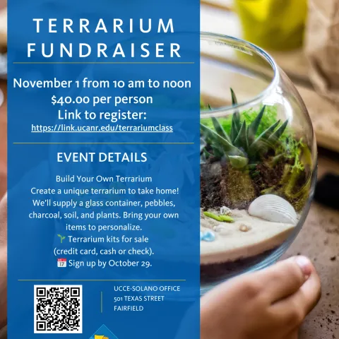 terrarium fundraiser flyer with a terrarium in the background