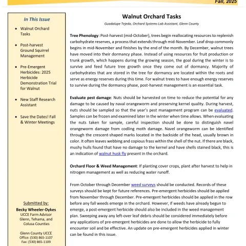 Glenn County UCCE Sacramento Valley Walnut Newsletter - Fall 2025