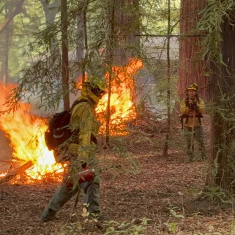 El buen fuego, una forma de reconciliarse con el fuego.
