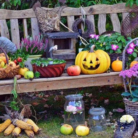 Busy Gardener Month to Month