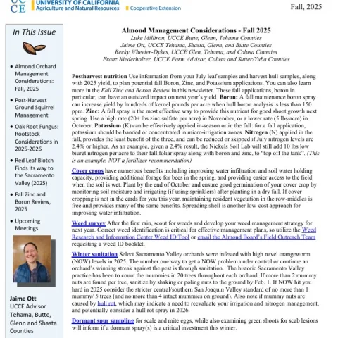 Screenshot - SAC VALLEY ALMOND FALL 25