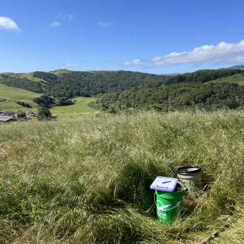 Rangeland in Sonoma County, part of soil health pilot