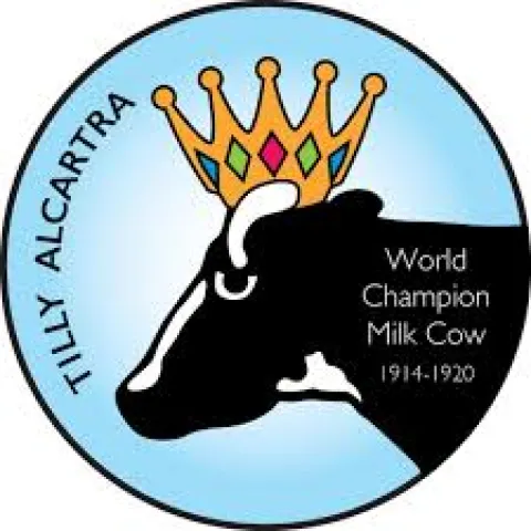 illustration of black and white cow with crown