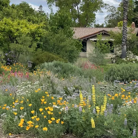 A landscape with flowers