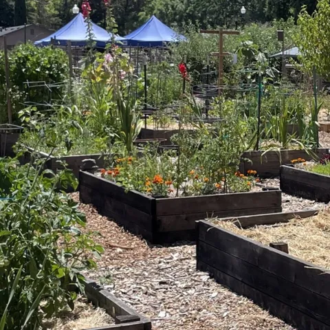 Windsor Community Master Gardener Demo Garden