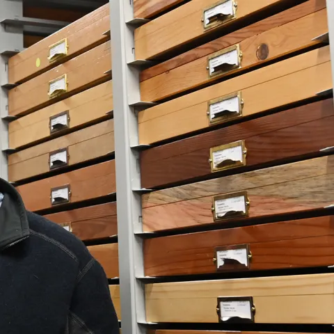 Jason Bond, executive associate dean,UC Davis College of Agricultural and Environmental Sciences