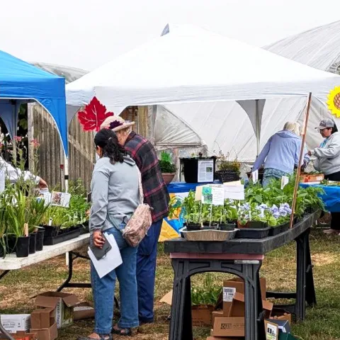 Master Gardener Plant Sale Event