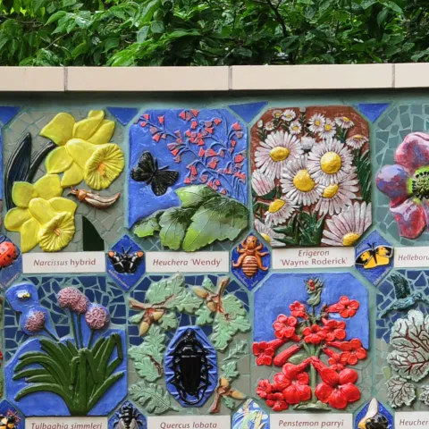 Nature's Gallery at UC Davis Arboretum and Public Garden