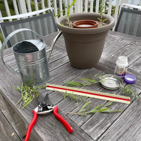 potting set up