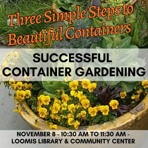 Container Gardening