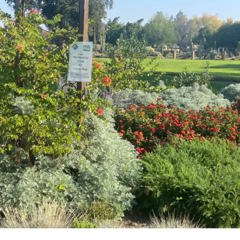 low maintance garden GOS