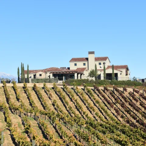 Southern California Vineyard