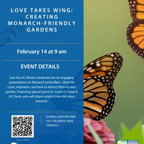 Monarch friendly gardens