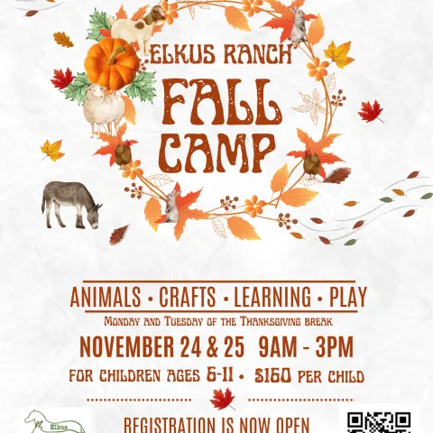 Elkus Fall Camp 2025