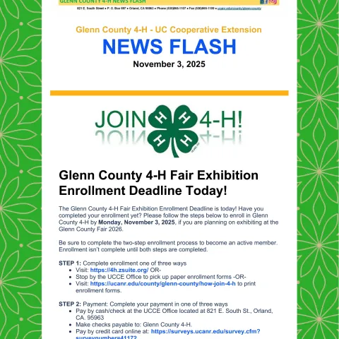 Glenn County 4-H News Flash - November 3, 2025