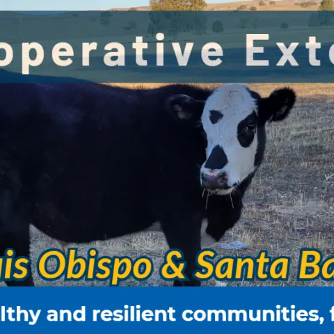 UCCE SLO & SB November Newsletter 2025