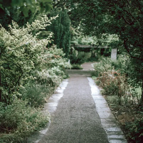 Permeable walkway