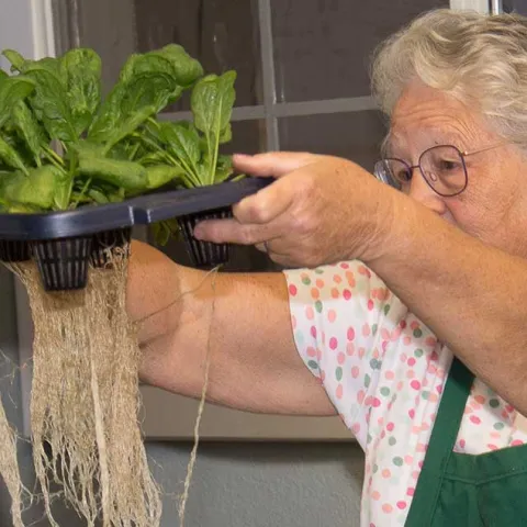 [PODCAST] Hydroponics For The Home or Apartment Gardener